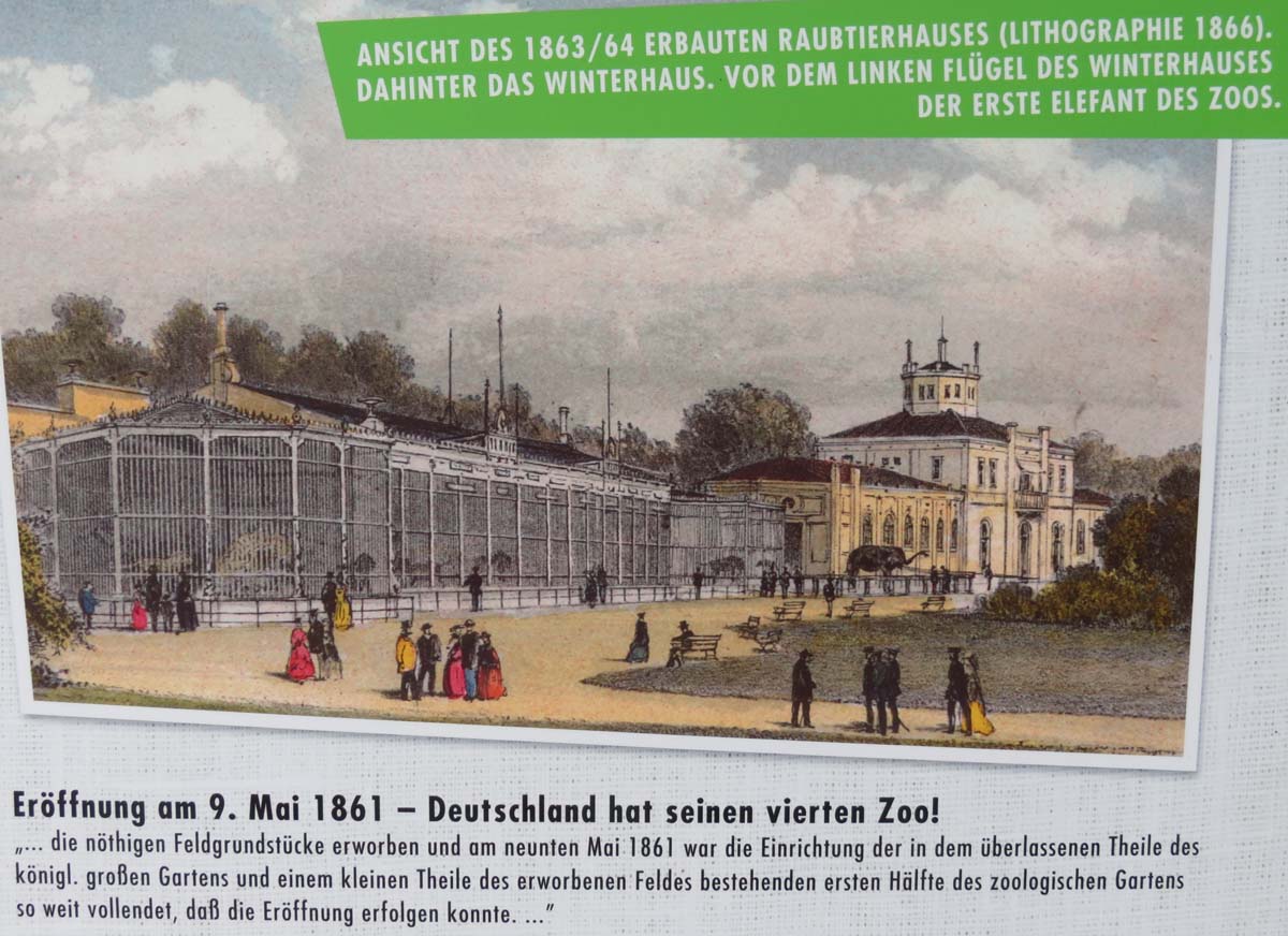 der Zoo Dresden wird eröffnet