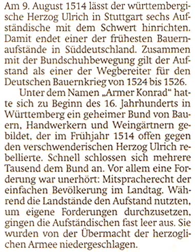 Artikel in der ´Sächsischen Zeitung´ vom 8. August 2014