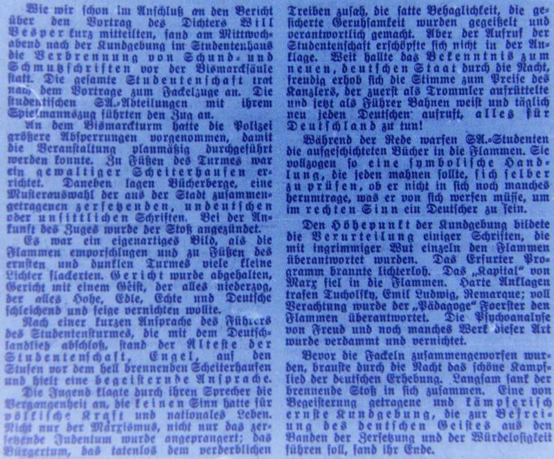 Artikel in der ´Dresdner Anzeiger´ vom 12.5.1933