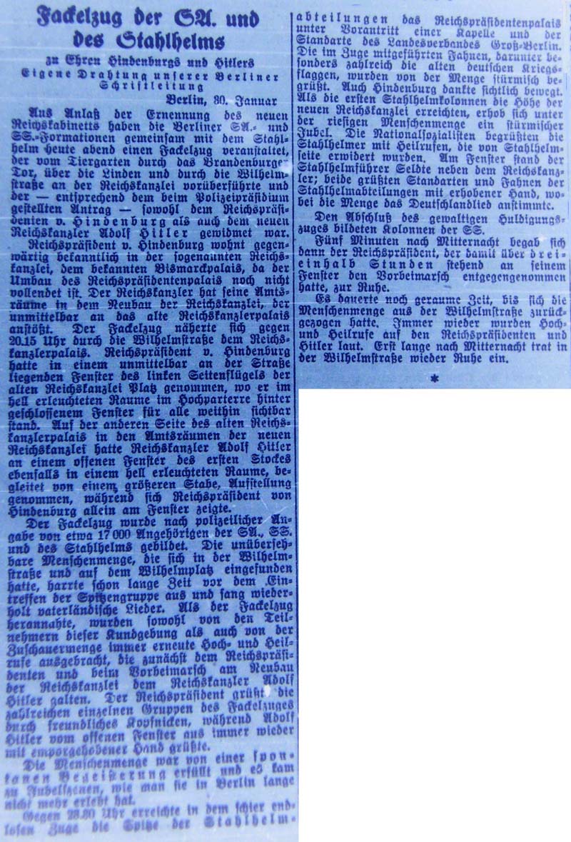 Artikel in der ´Dresdner Anzeiger´ vom 31.1.1933