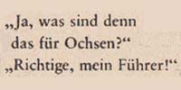 In Nürnberg findet der ´Reichsparteitag des Sieges´ statt.