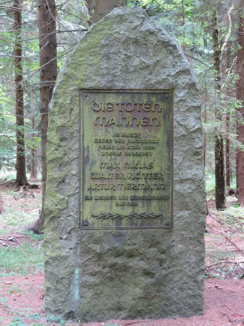 Gedenkstein an der Schneise 31 / Schellerhauer Weg in Altenberg - Nahaufnahme