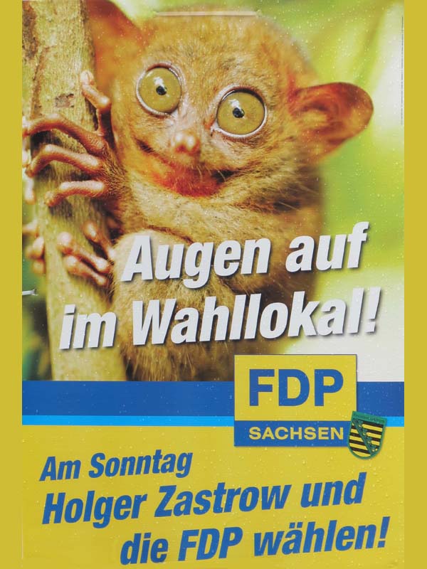 FDP - Augen auf im Wahllokal!