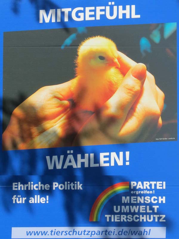 MUT - Mitgefühl wählen! Ehrliche Politik für alle!