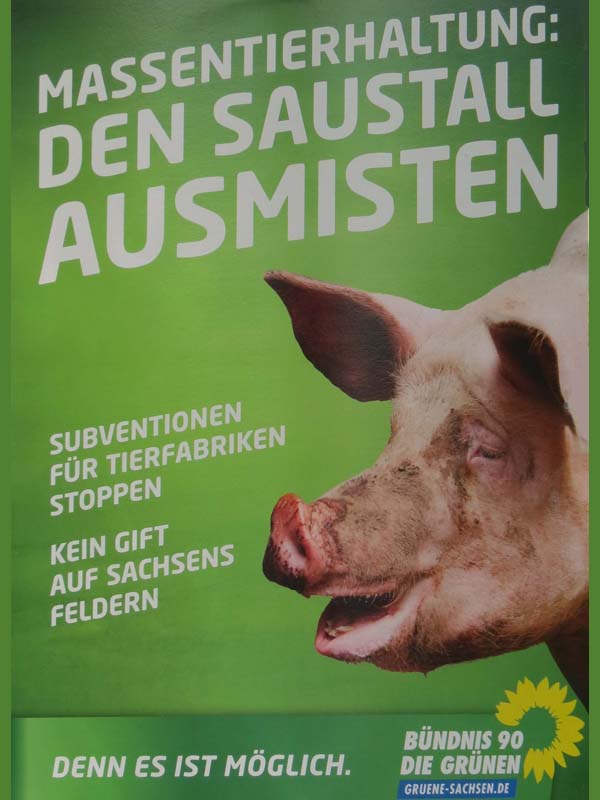 Grüne - Massentierhaltung: Den Saustall ausmisten