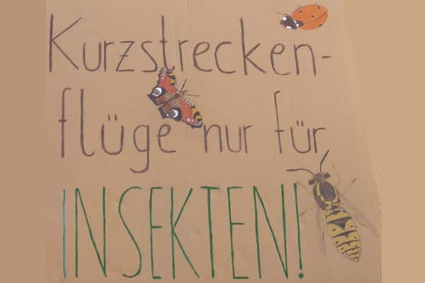 Kurzstreckenflüge nur für Insekten