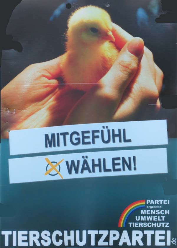 MUT - Mitgefühl wählen!