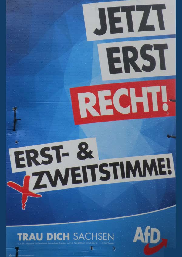 AfD - Jetzt erst Recht!