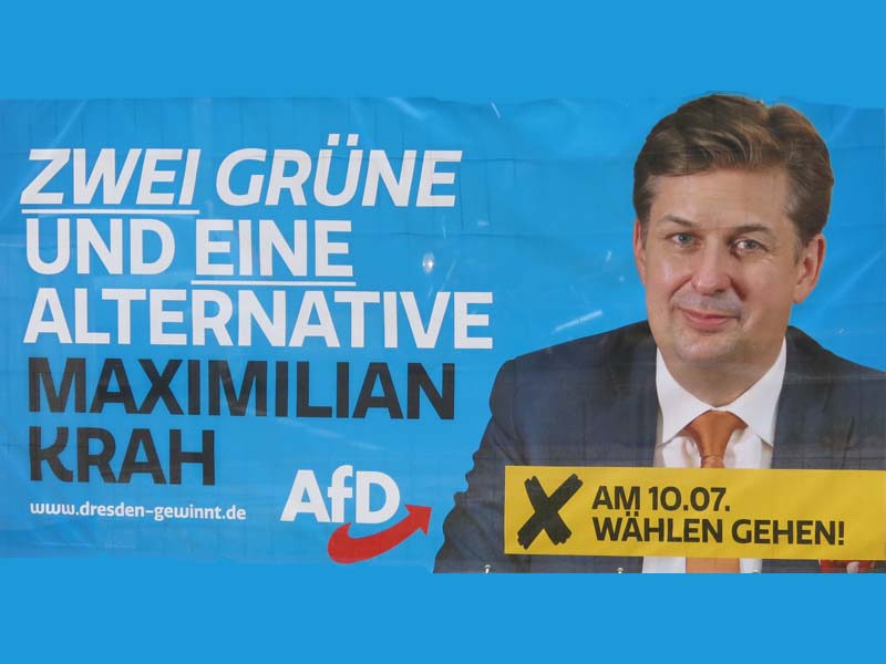 Zwei Grüne und eine Alternative Maxilian Krah