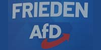 Wahl des Europäischen Parlaments