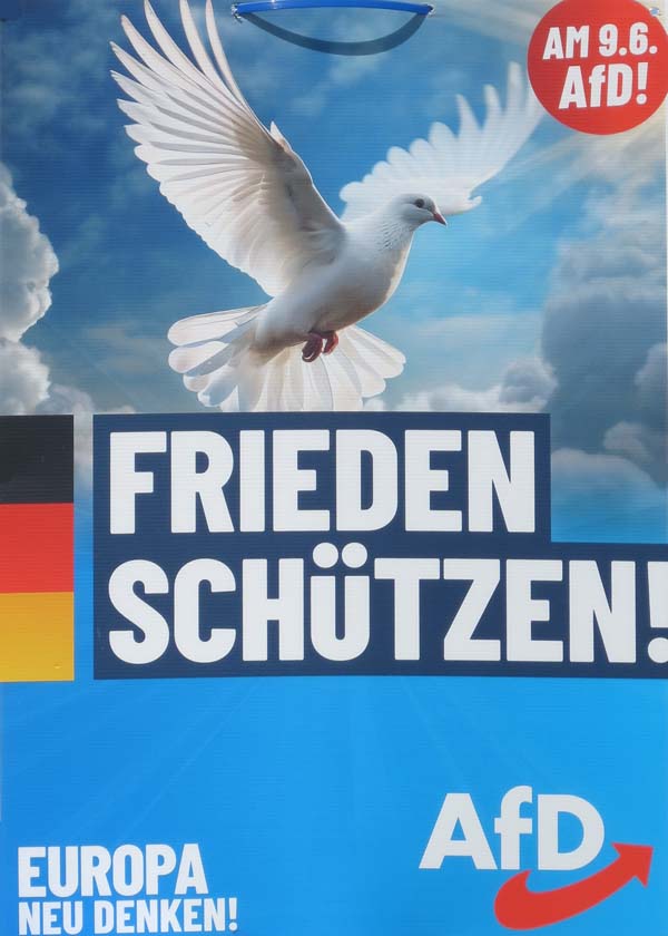 AfD - Frieden schützen!