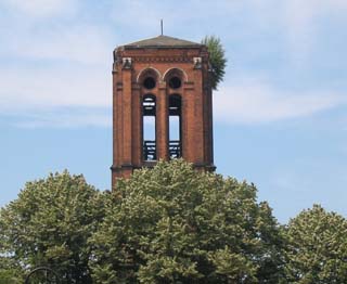 Ruine der St. Pauli-Kirche mit Wachstum