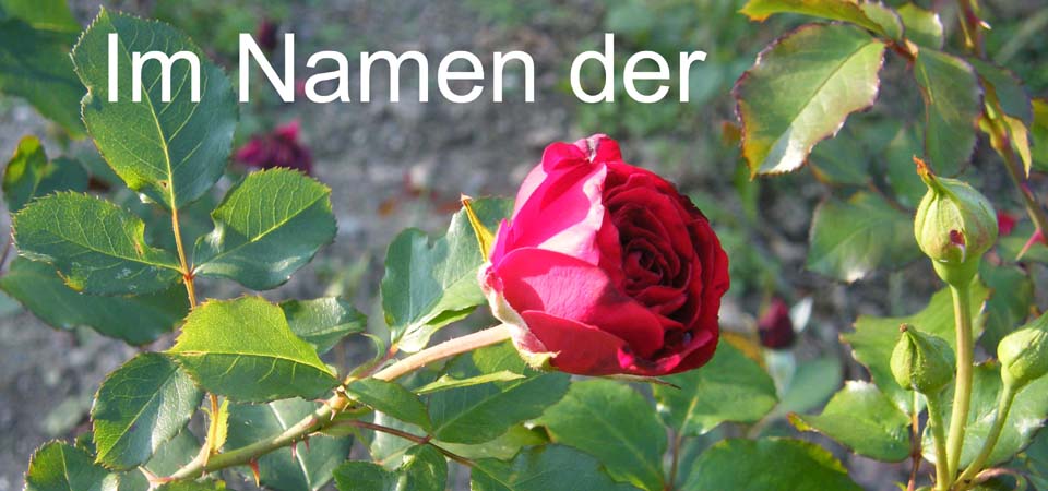 Das Bild mit der Rose steht für den Begriff ROSE, dieser steht für Richtigkeit, Orthografie, Sauberkeit und Ehrlichkeit.