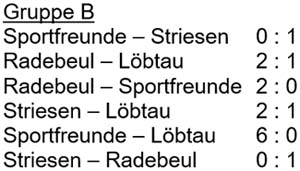 Spielergebnisse der Gruppe 2 der Hallenmeisterschaft am 10.2.2007