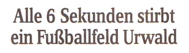 ´Alle 6 Sekunden stirbt ...´ aus ´Sächsische Zeitung´ vom 11.6.2020, Seite 5