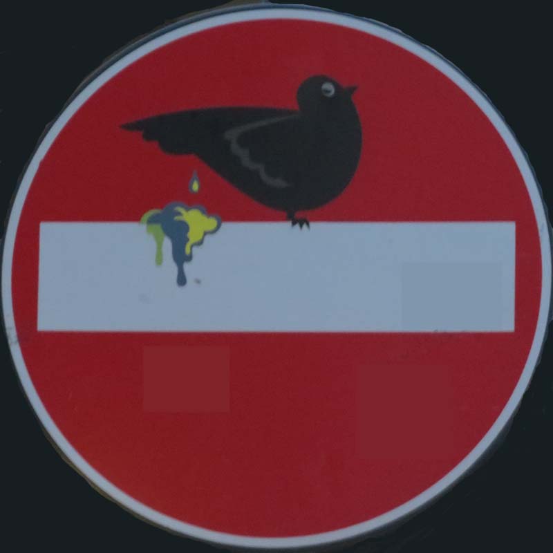 ein Verkehrsschild in Florenz mit kackendem Vogel